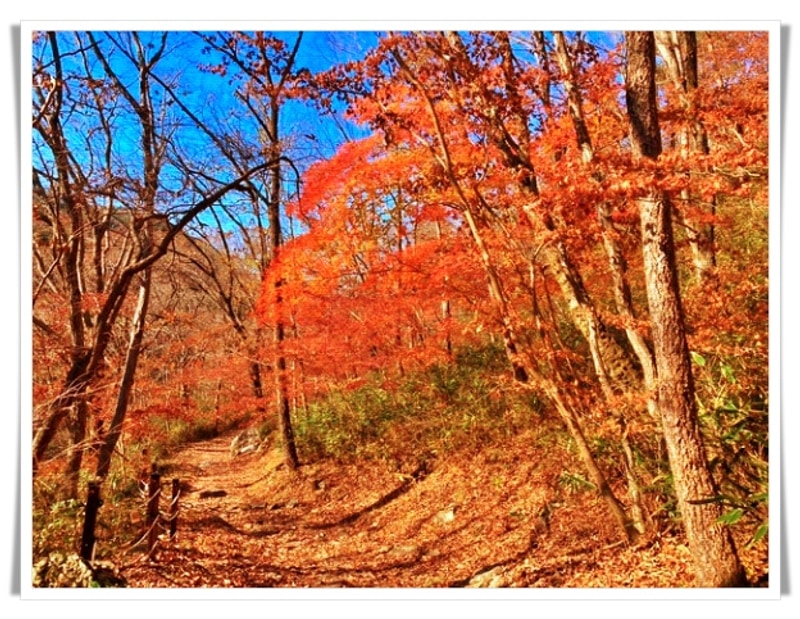 평창 흥정계곡 오토캠핑장 자연과 힐링 그리고 가족 추억의 공간