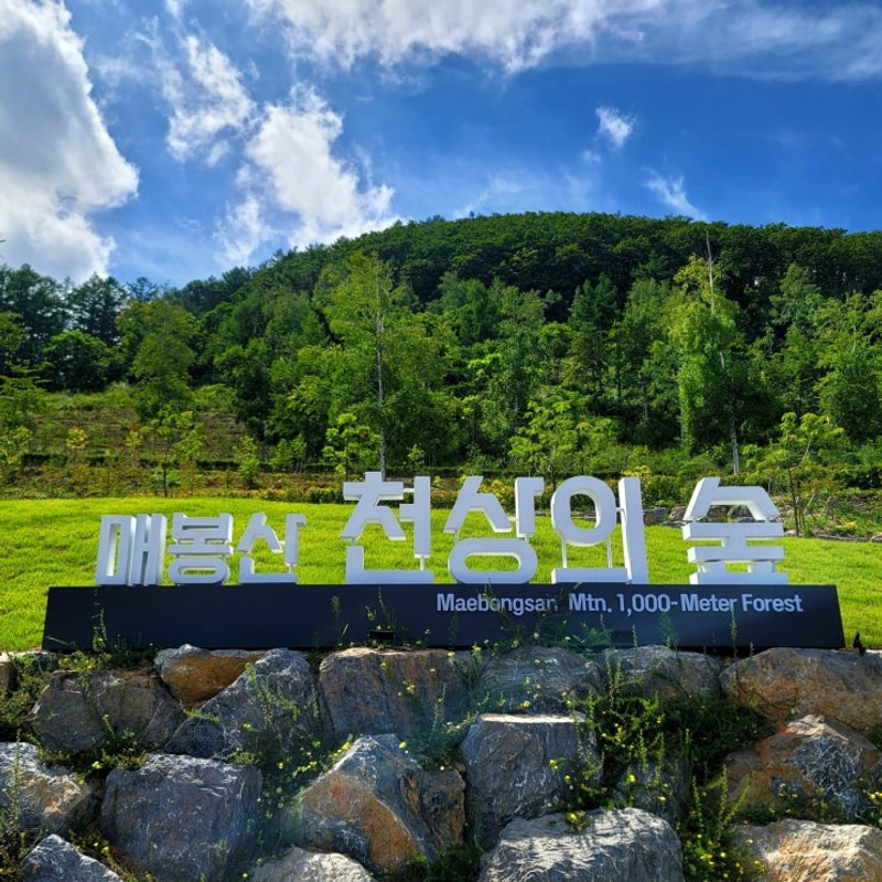 [1부]태백 매봉산 천상의 숲 캠핑장 사이트 추천(feat....