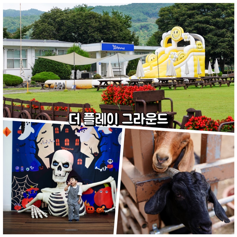 더 플레이그라운드 청주 키즈캠핑장 행복한 하루