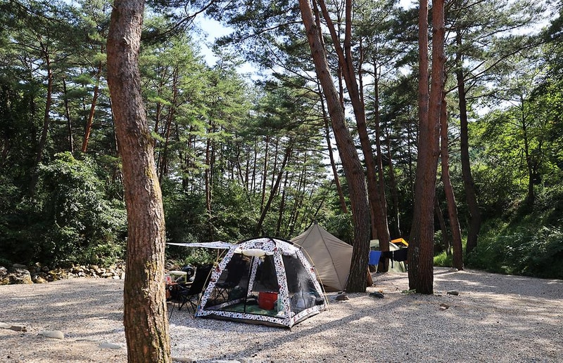 캠프 오어즈 시설 사진 4