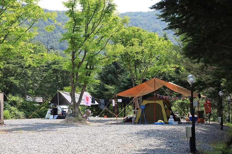 월드니스 오토캠핑장 시설 사진 7