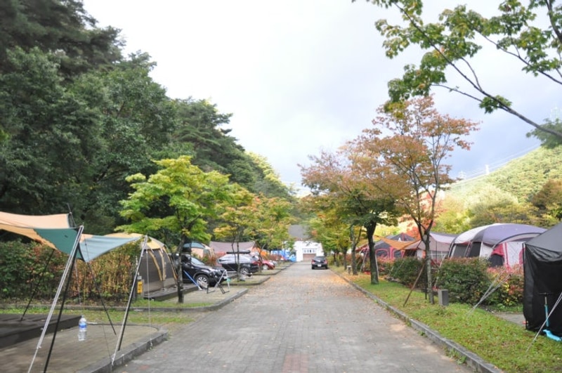 [제천캠핑장] 용두산오토캠핑장 야영데크 B24 아침산책...