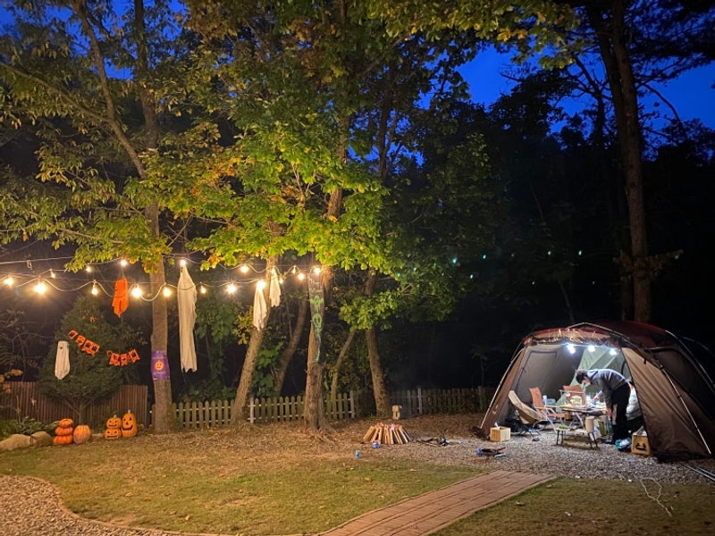 프라이빗 단독 캠핑장 추천 포천 타이니포춘 재방문 의사...