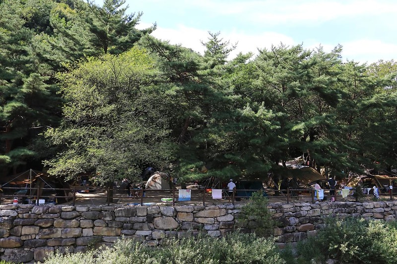 월악산국립공원 덕주야영장 시설 사진 16