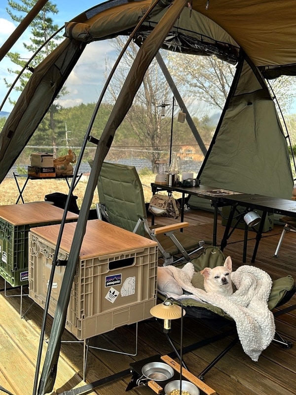 [캠핑일기#5] 4월 봄 캠핑 2박3일 (포천 캠핑플래닛)