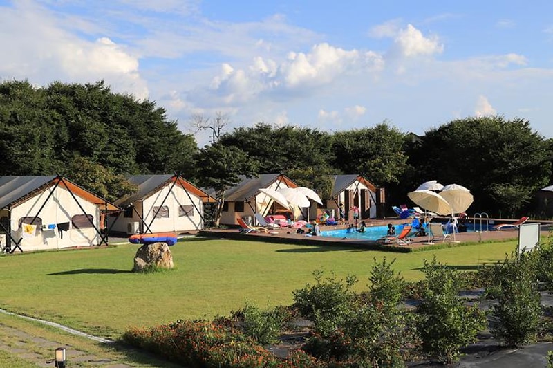 사나래관광농원 대표 사진