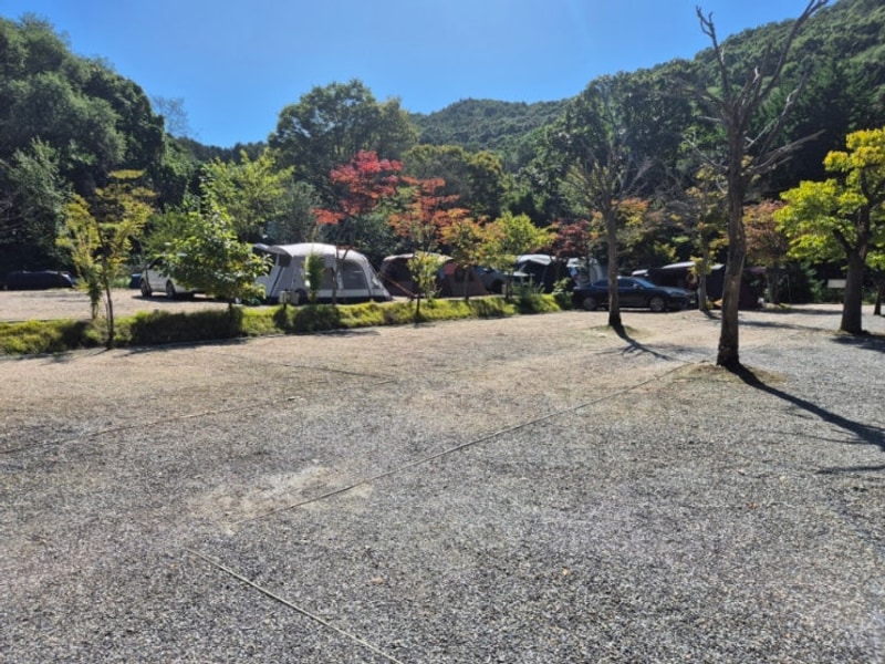 서울 근교 캠핑장 추천ㅣ파주 율곡캠핑장 방문후기