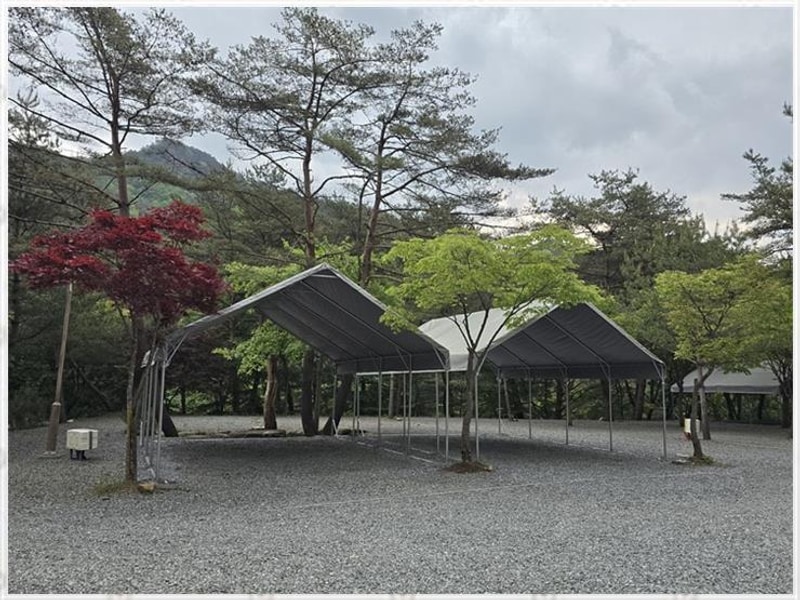 강원도영월캠핑 자연 속 진정한 힐링, 영월 소나무와계곡캠핑장