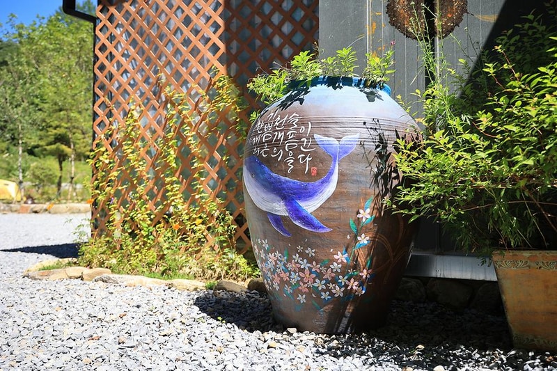 평창자연속쉼표캡핑장 시설 사진 9