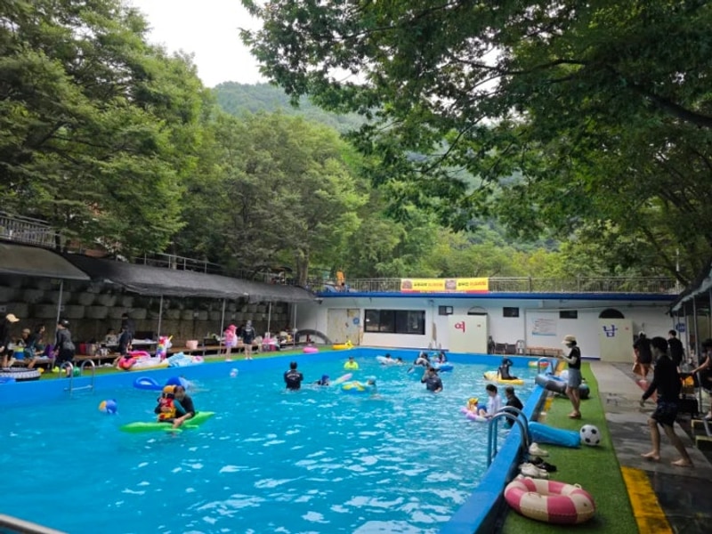 천안 호두나무캠핑장 평상 이용 후기｜계곡+수영장 당일...