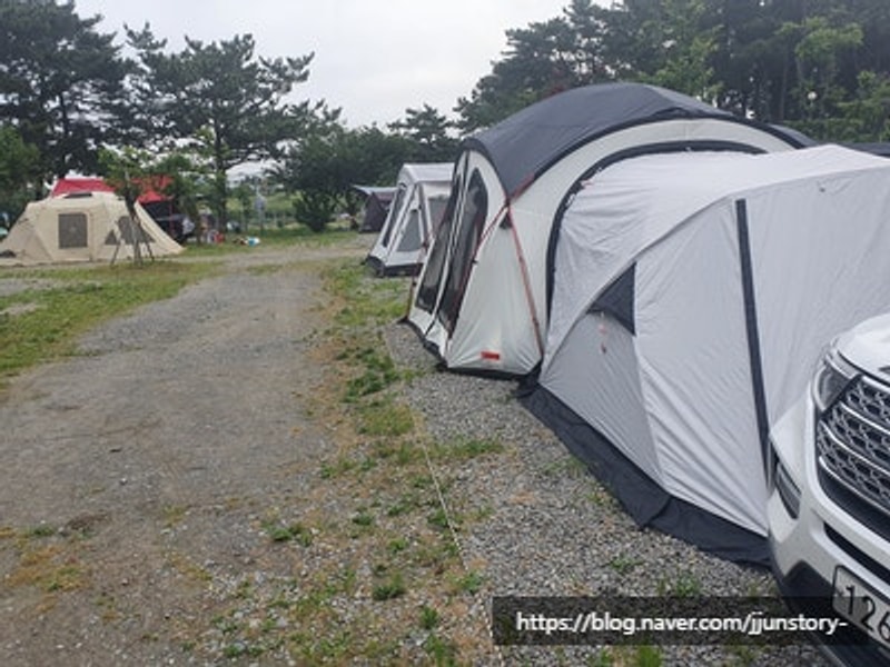 아이와 함께하는 안산 대부도 여행, 대부도 캠핑 ㅣ 아라뜰캠핑장