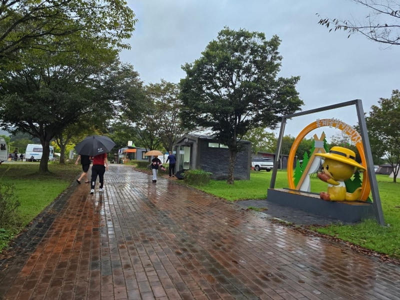 472th _ 충주 목계솔밭 오토캠핑장c12 부부캠핑 & 우중캠핑...