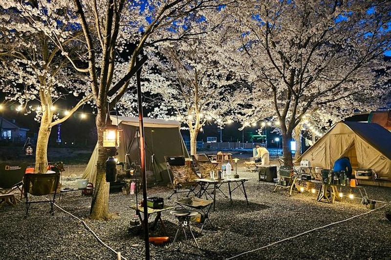 늘푸른캠핑장 대표 사진