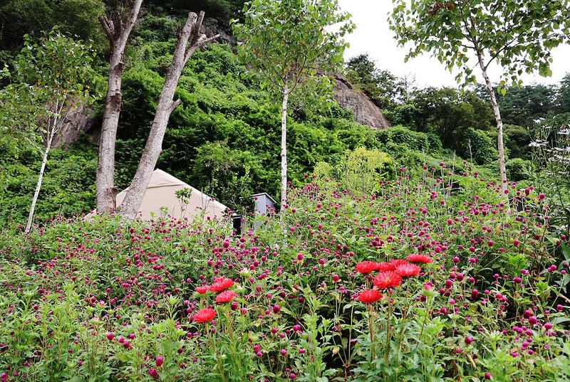 또보리 캠프 시설 사진 9