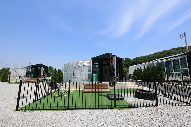 구르미의 오션 시설 사진 5