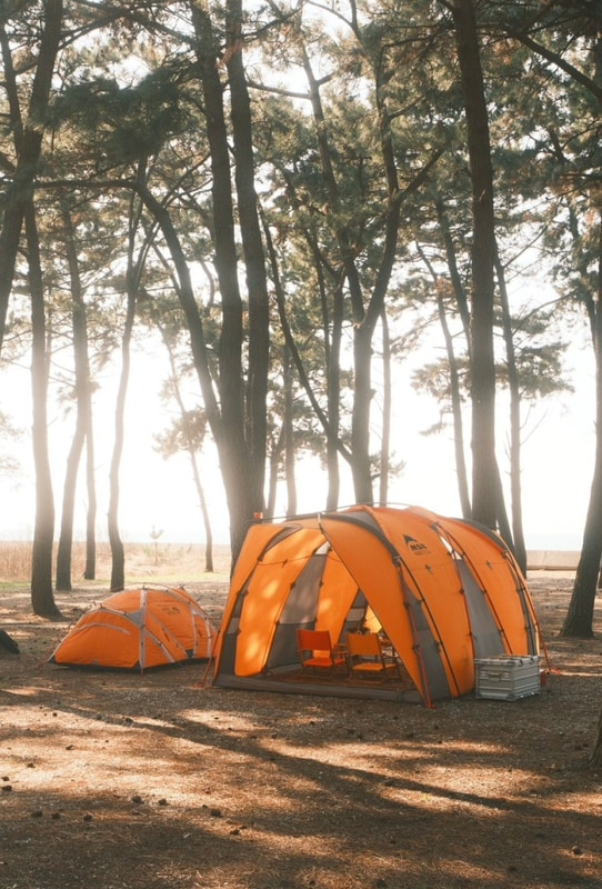 전북 고창 구시포 노을 캠핑장 추천 선착순 사이트 애견동반 가능
