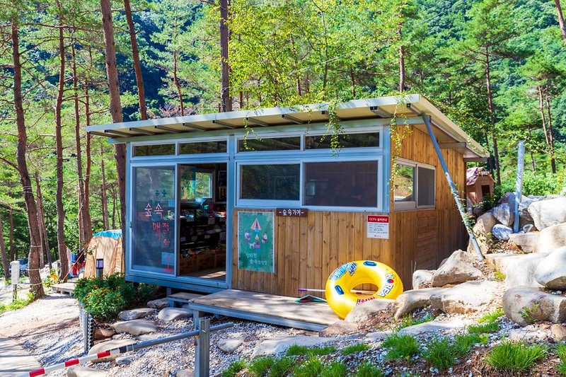 왕피천 숲속 캠핑장 시설 사진 5