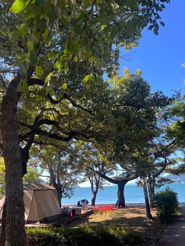 남해 힐링국민여가 캠핑장 이용 후기 (+추천 사이트)