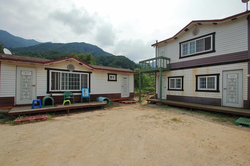 Camp 1950 시설 사진 3