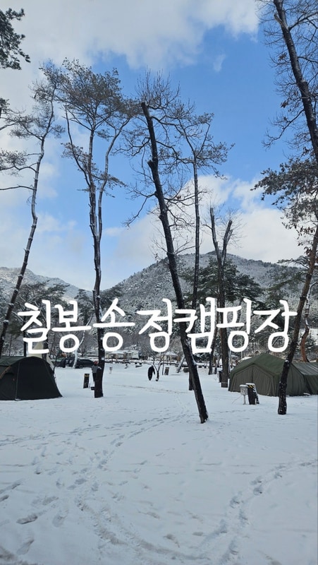 [강원도 원주 캠핑장] 별이 잘 보이는 칠봉송정캠핑장