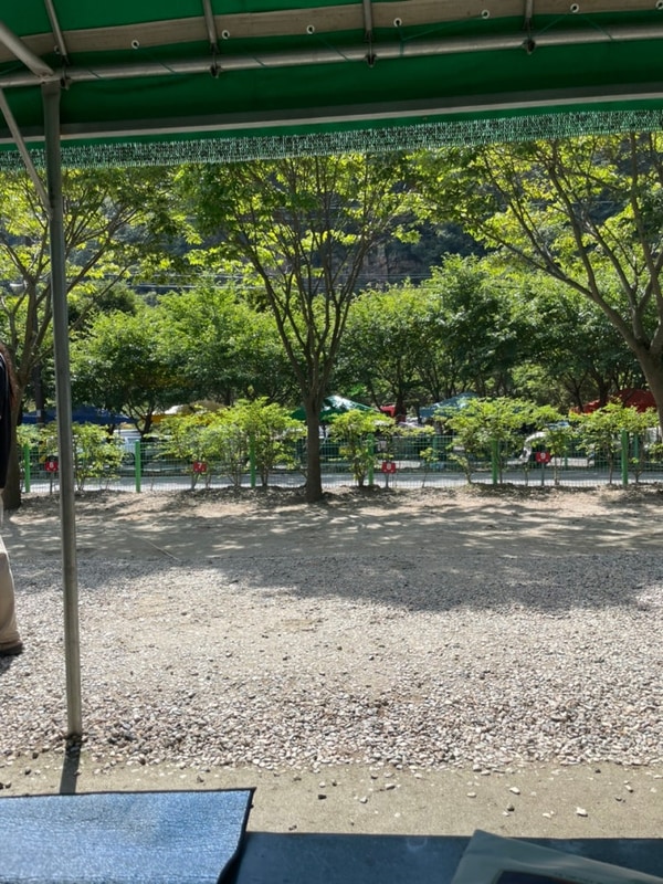 괴산 솔밭캠프(쌍곡계곡 평상)