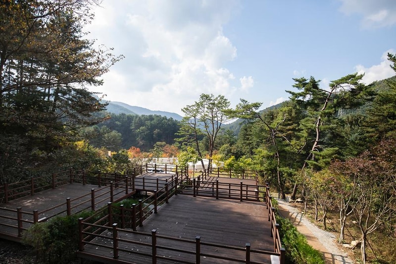 동두천 자연휴양림 시설 사진 7