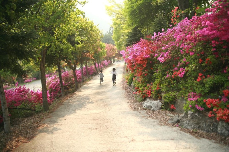 브라보캠핑장 시설 사진 5