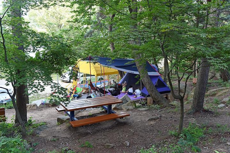 화왕산자연휴양림 대표 사진