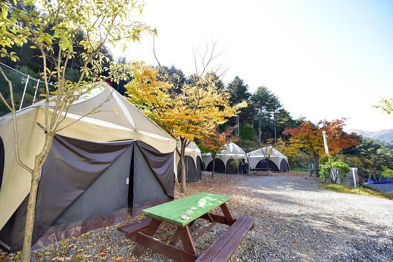 동물카라반 시설 사진 7