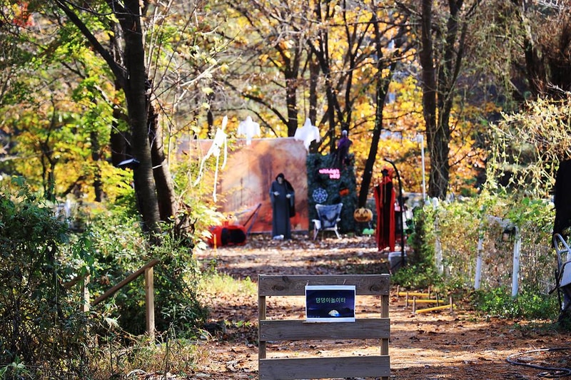 위드독스in포천 시설 사진 5