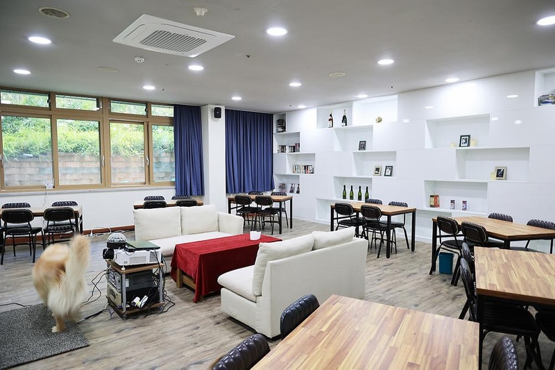 라이프위드도그 시설 사진 11