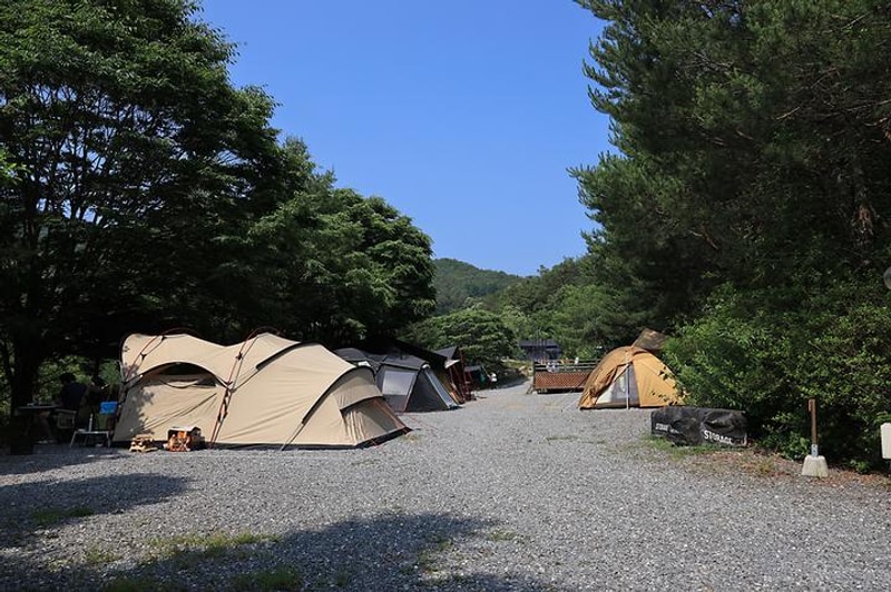 월드니스 오토캠핑장 대표 사진