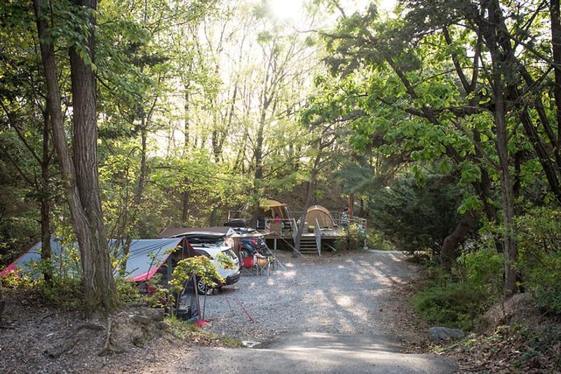 마운틴캠핑장 대표 사진