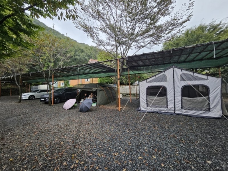 경북 청도 오토 캠핑장 계곡 근처 조은자리캠핑장 아이랑...