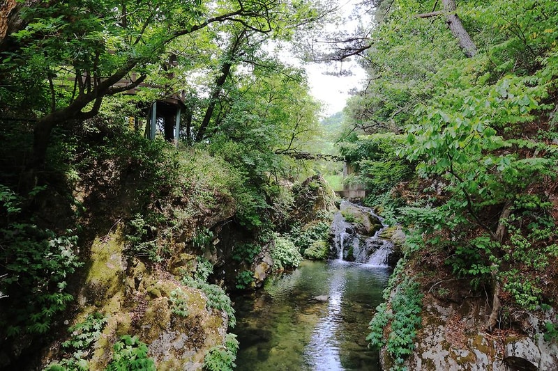 곰취향 가득한 팔랑골 캠핑장 시설 사진 11