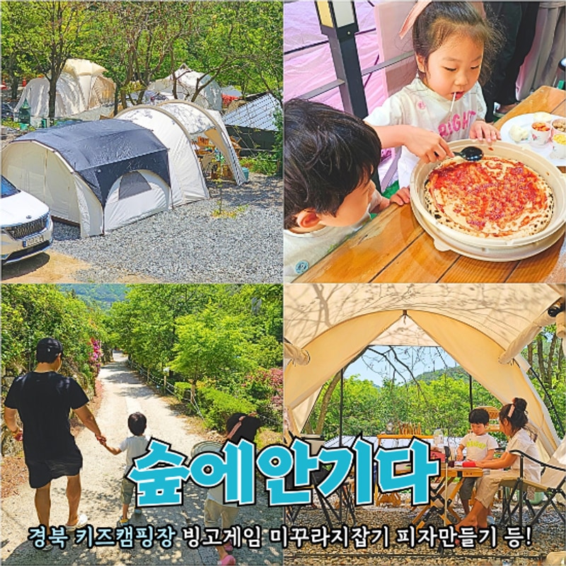 경북 키즈캠핑장 고령 숲에안기다 수영장 피자만들기 등 사이트...