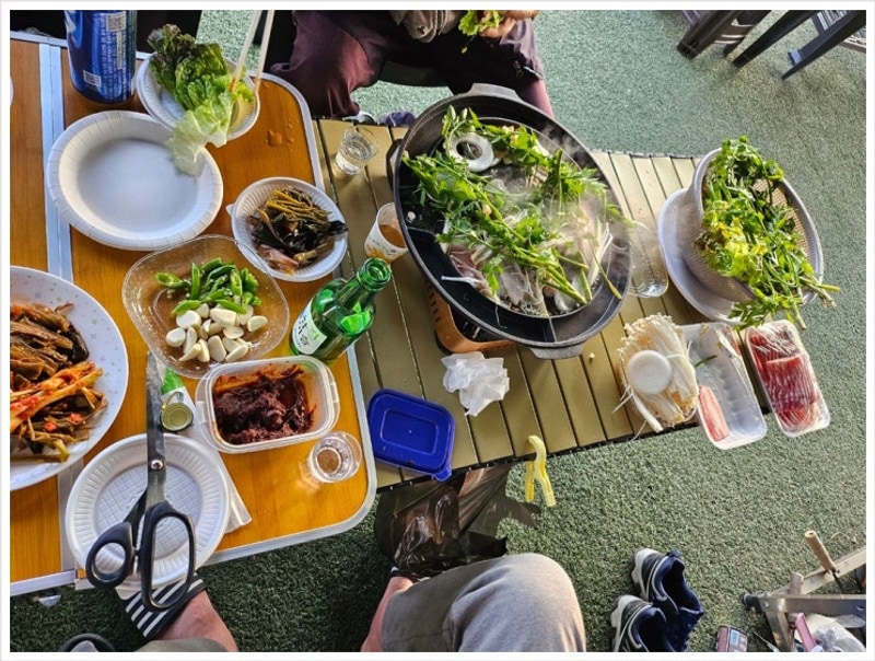 자연을 품은 힐링 명소 고성캠핑장, 고성라벤더캠핑장 뒤늦은...