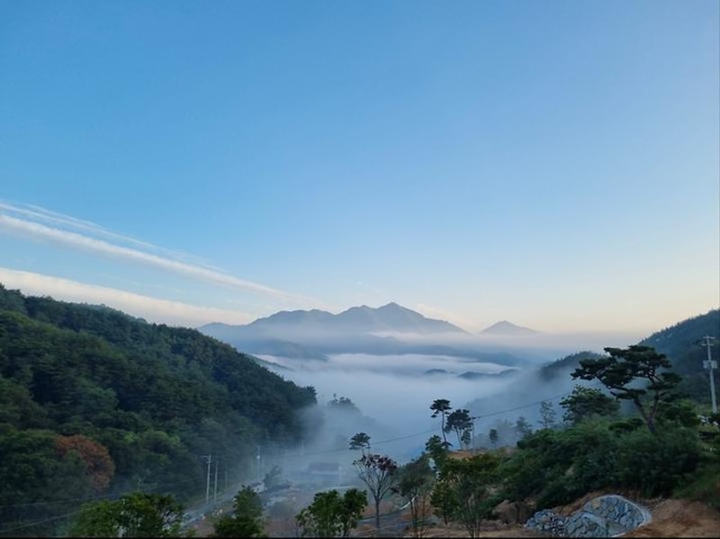 오도산 관광농원 대표 사진