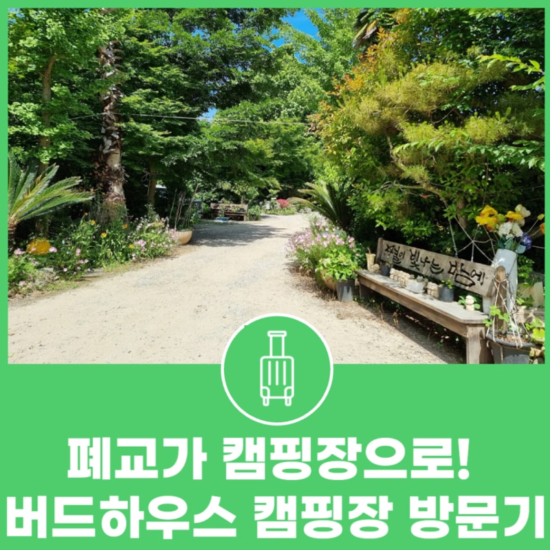 폐교가 캠핑장으로! 감성 가득한 남해 버드하우스 캠핑장 방문기
