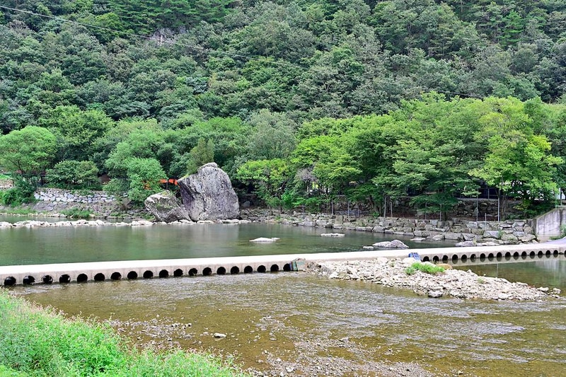 숲속 캠핑장 시설 사진 15