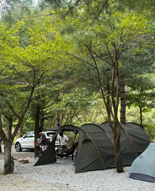 계곡과 숲이 있는 제천 덕동리 301 캠핑장 C1 사이트 후기...