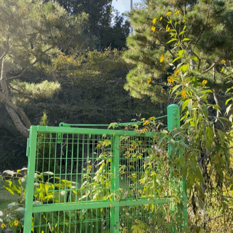 홍천 글램핑 추천! 쾌적한 글램핑 숙소 <하늘바라기 글램핑>