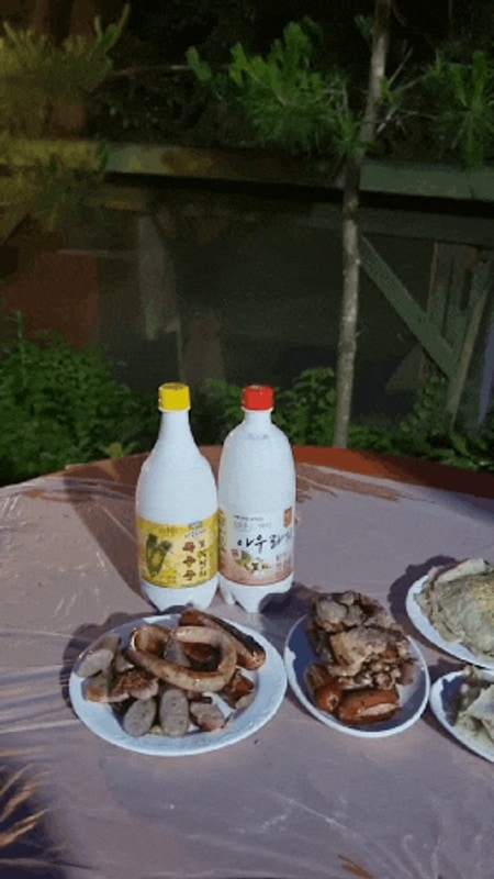 정선계곡펜션 비와도 바베큐 가능한 정선 도원펜션&캠핑장