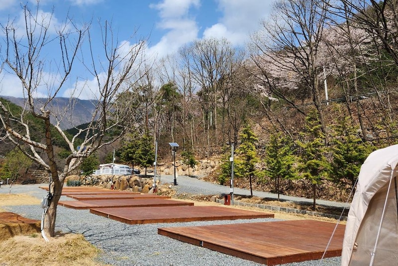 별품은 숲속 캠핑장 시설 사진 6