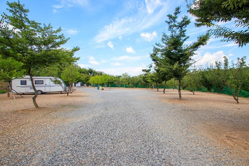 천안밤나무골 가족캠핑농원 시설 사진 18