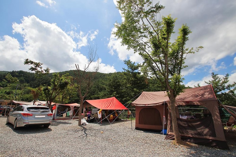 505펜션&캠핑(오공오) 시설 사진 7