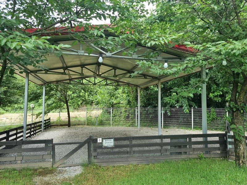 루파니애견캠핑장 시설 사진 14