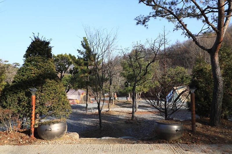 양평수목원 캠핑장 대표 사진