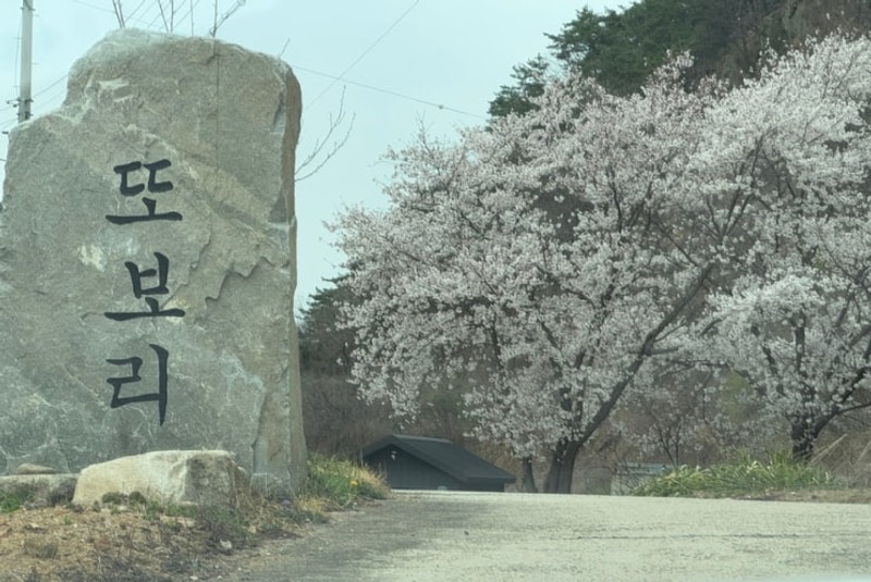 강원도 애견동반캠핑장 - 또보리캠프 3번째 방문 기록