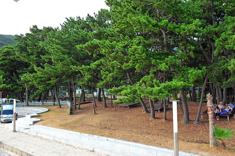 송정솔바람야영장 시설 사진 2